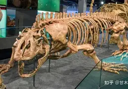 包含v_.蜥]膔粋x01~?慁t-爱游戏官方网站